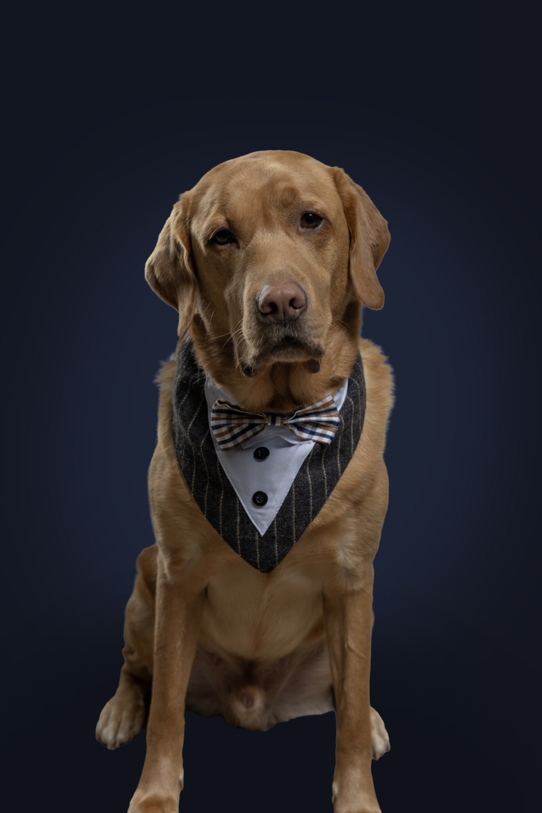 Milo